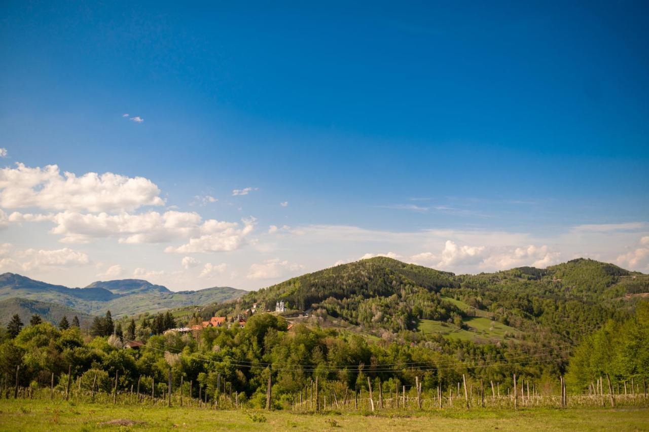 Vila Angelina Kušići Kültér fotó