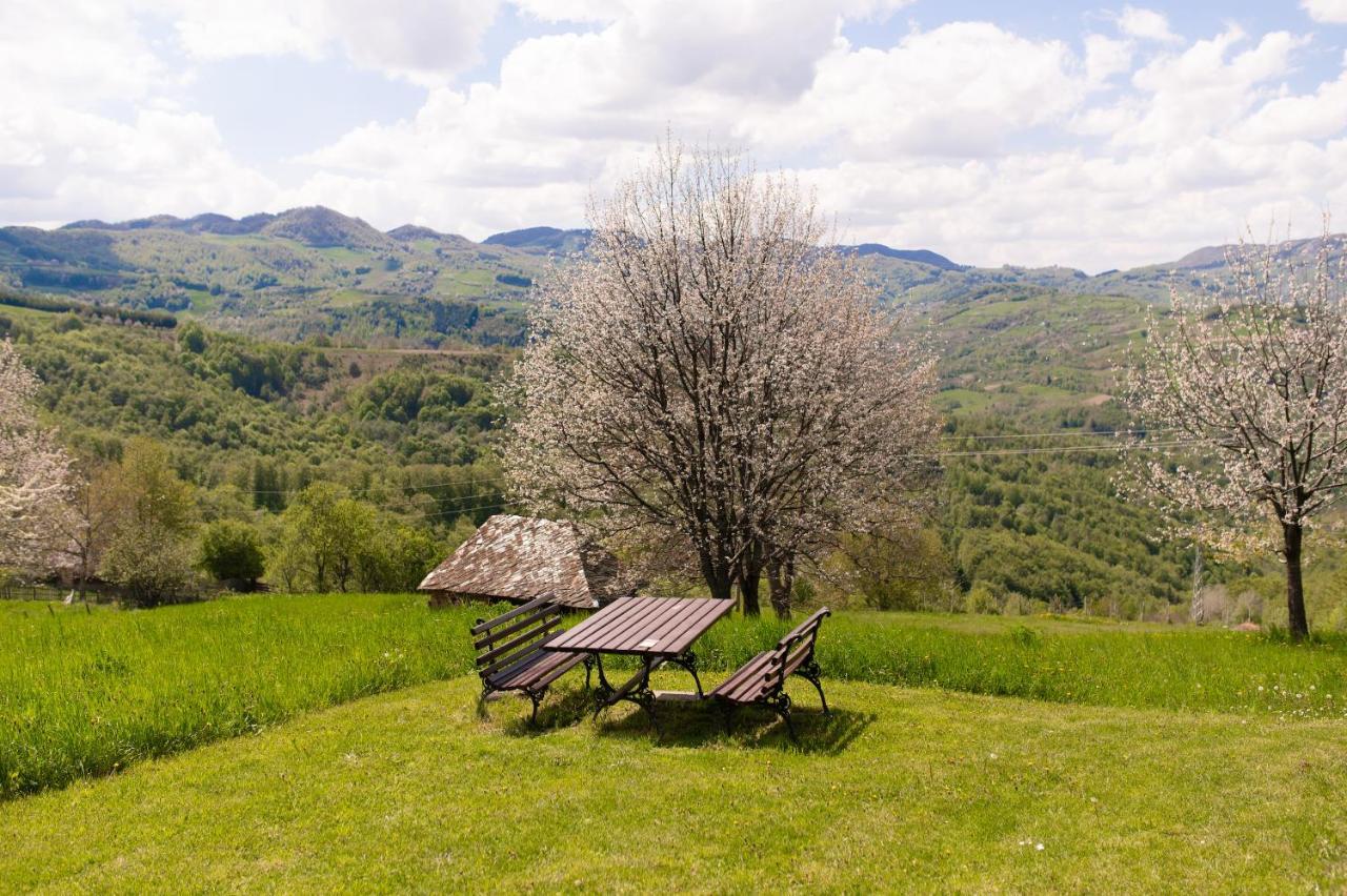 Vila Angelina Kušići Kültér fotó